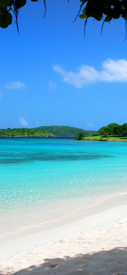 maldives, tropical, beach, sand, summer, palm trees