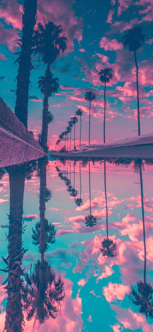 road, puddle, reflection, palm trees, clouds, sky, sunset, blue, pink