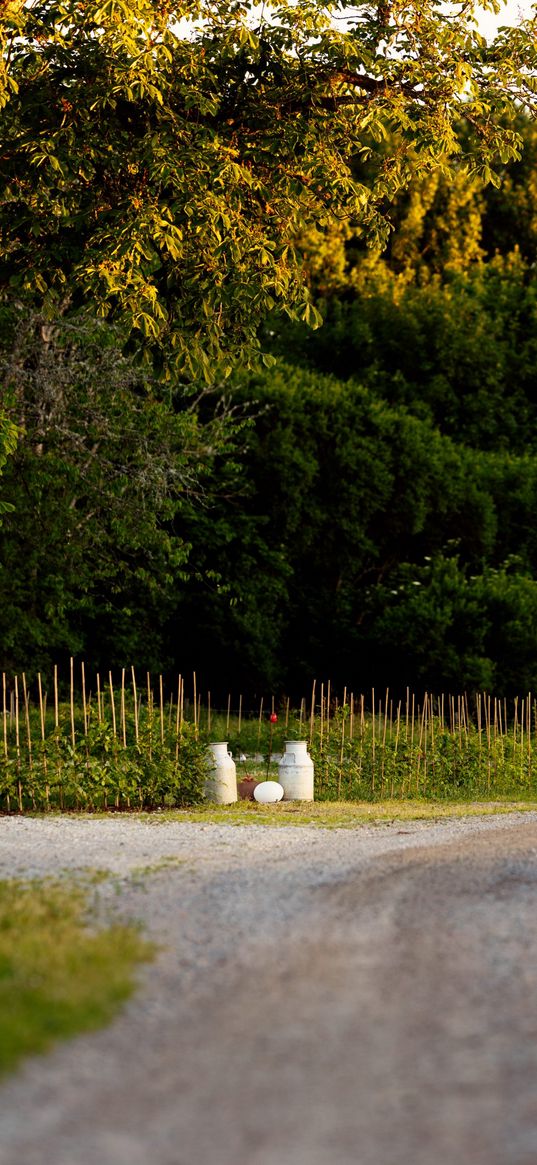 trail, fence, cans, trees, summer