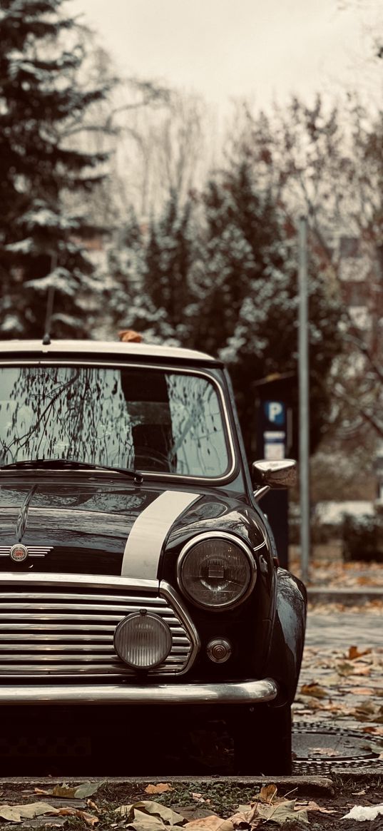 mini cooper, car, retro, street, leaves, autumn