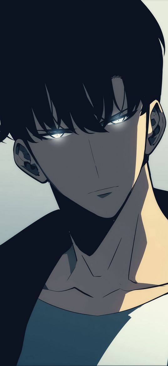 solo leveling, sung jin woo, manhwa, art, guy