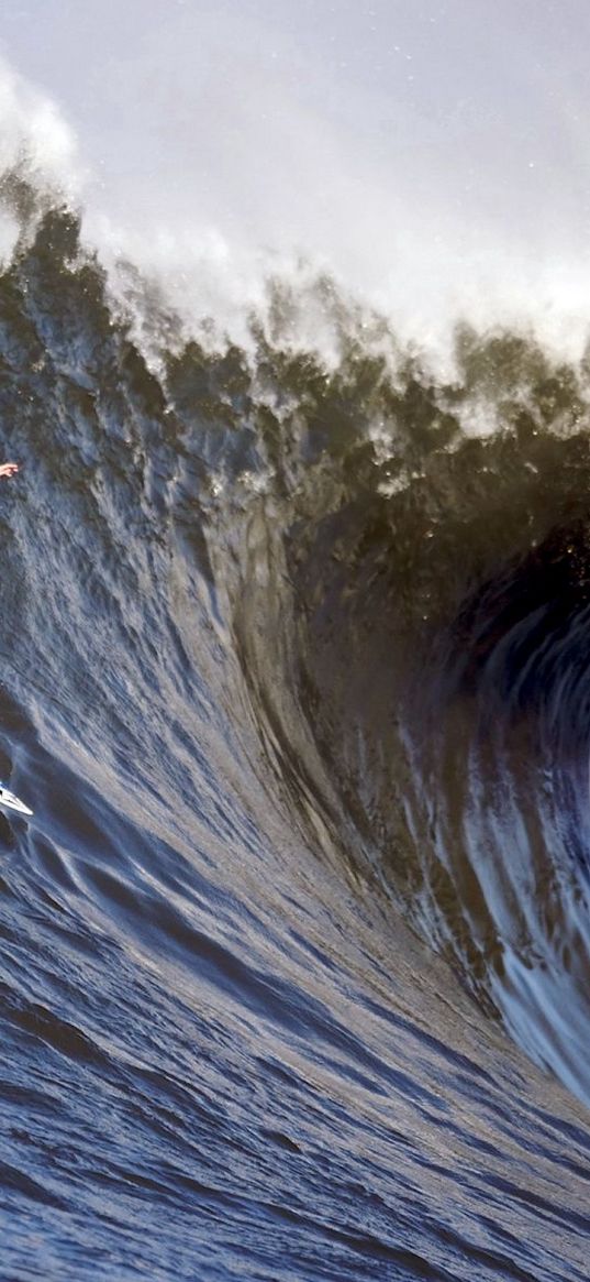 surfing, guy, wave, splashes, crest, extreme, hands, balance