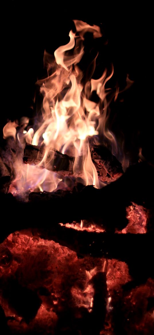 fire, bonfire, firewood, darkness