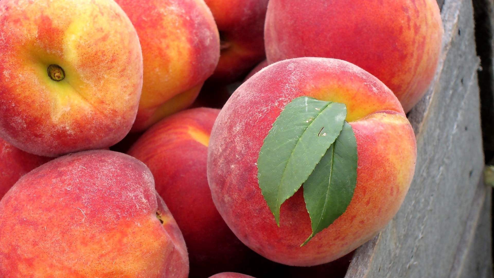 peaches, leaves, fruits