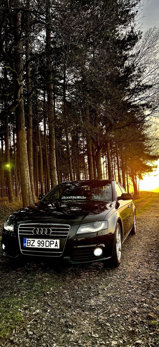 audi a4, audi, car, black, forest, nature, sunlight