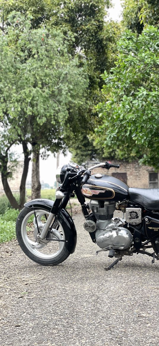 royal enfield, bike, motorcycle, black, nature