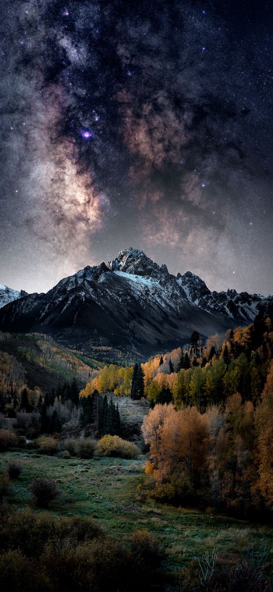 mountains, trees, valley, starry sky, nebula, landscape