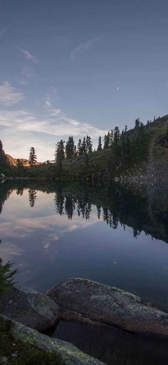 pond, trees, reflection, stones, nature