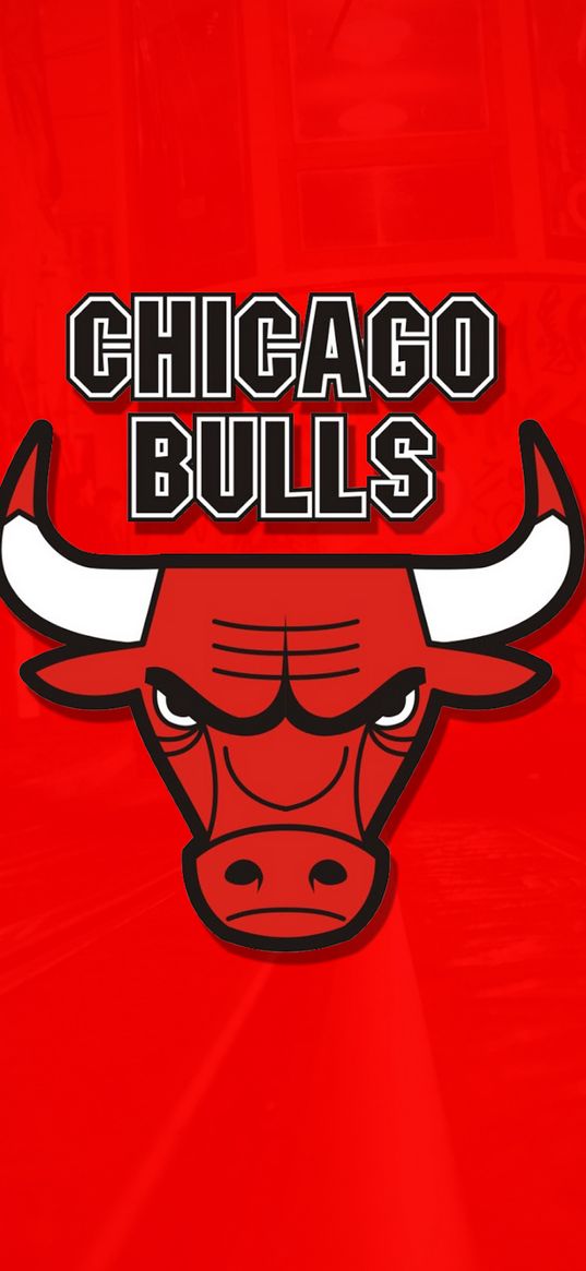 chicago bulls, basketball, bull, logo, red