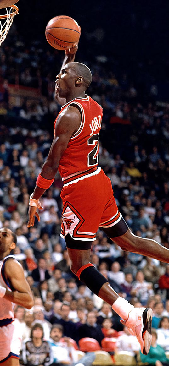 michael jordan, basketball player, basketball, ball, ring, jump, stadium, sport