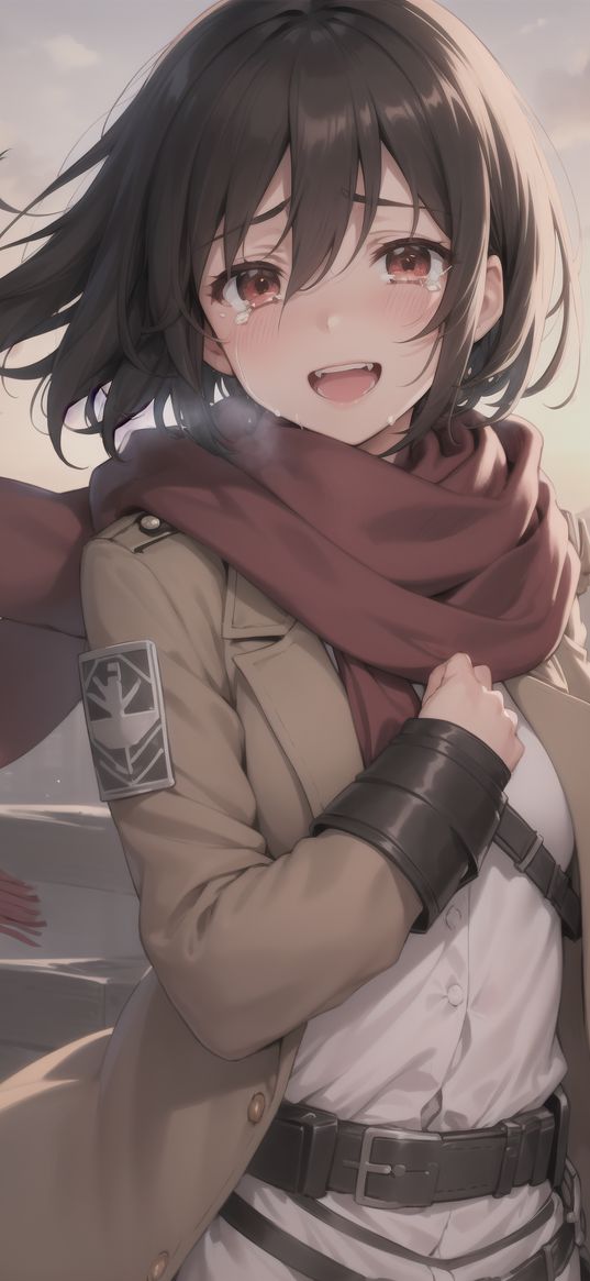 mikasa ackerman, attack on titan, anime, girl, sweetheart, tears, scarf, coat, sunset, art