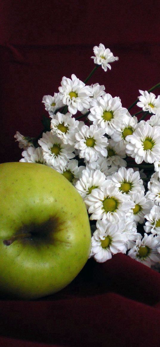 apples, daisies, flowers, fruits