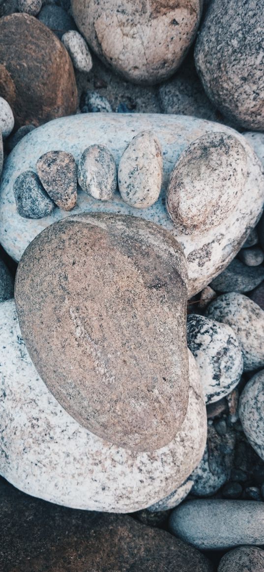 stones, foot, trail, nature, gray