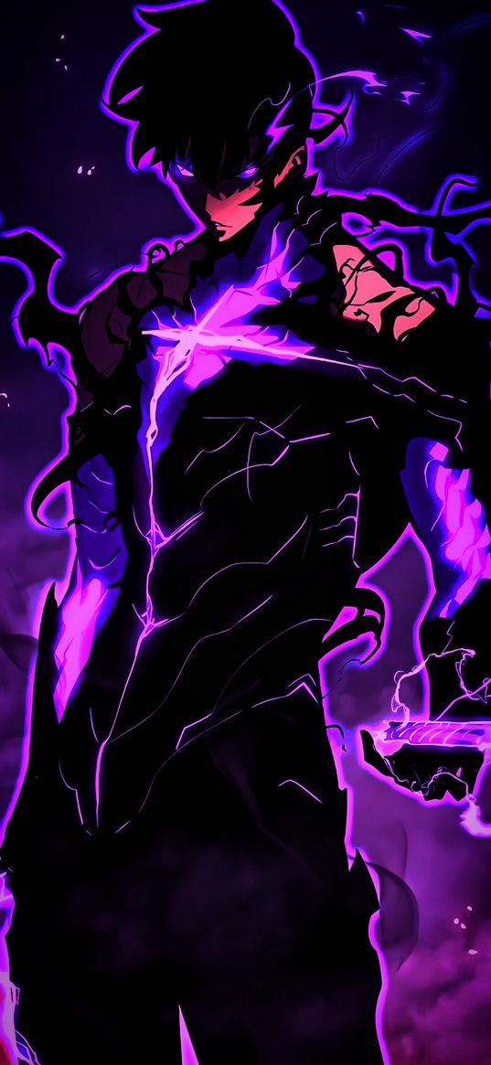 solo leveling, sung jin woo, guy, demon, magic, purple, anime, manga, manhwa, art