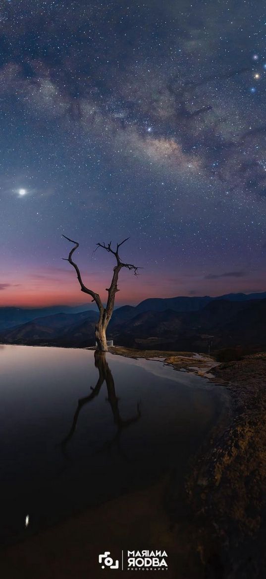 lake, shore, twigs, hills, sunset, milky way, starry sky, moon, night, landscape