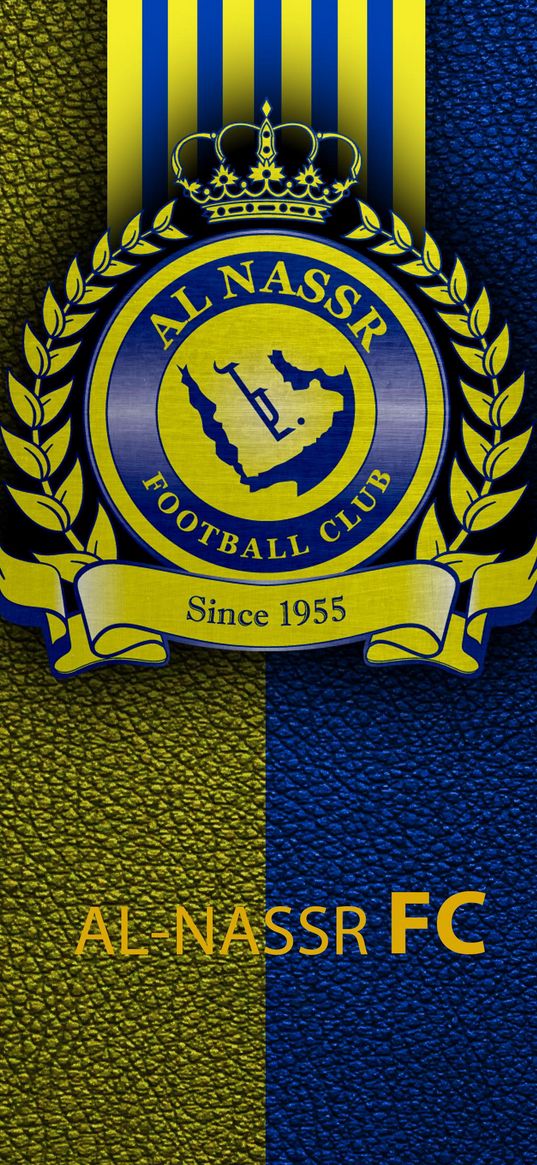 al nassr, arabia, football club