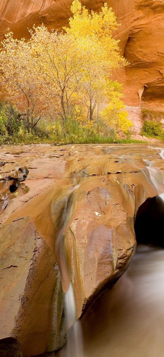 canyon, water, stream, stones, sharp, trees, vegetation, utah