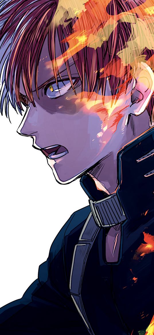 todoroki shoto, my hero academy, guy, anime