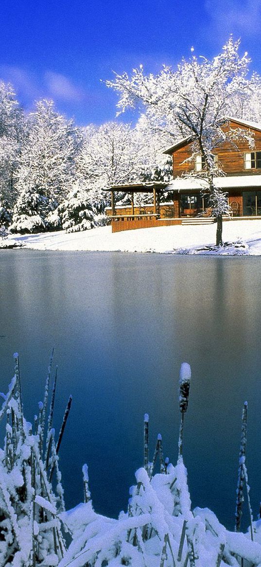 house, lake, winter, canes, ice, snow, day