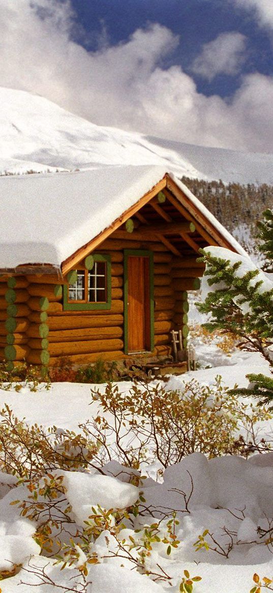 small house, snow, trees, canada, british columbia, bushes, fur-tree