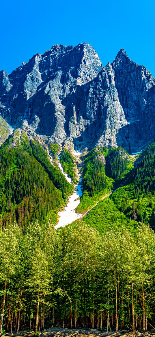 rocks, slope, trees, relief, snow