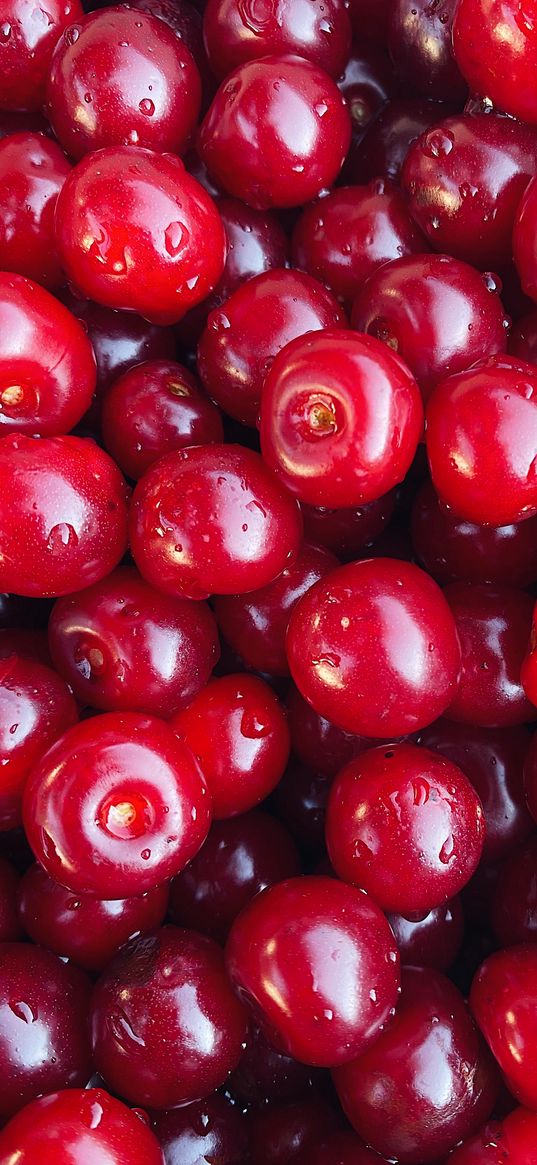 cherry, berries, red, drops, macro