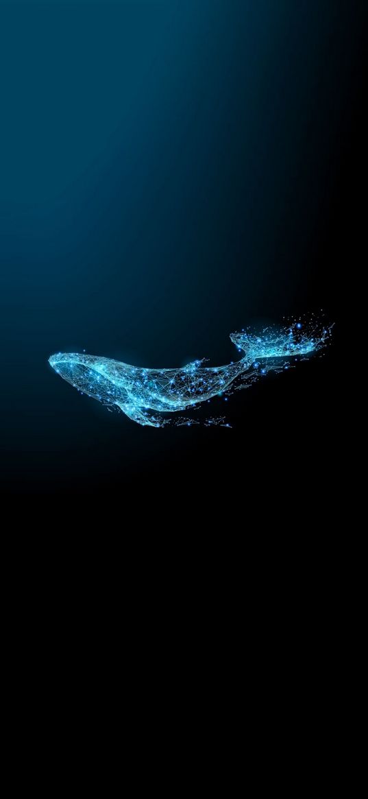 whale, stars, lines, darkness, light, blue