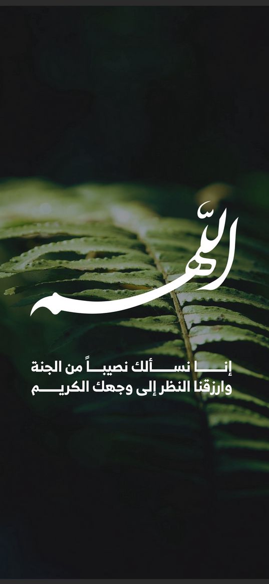 hieroglyphs, text, islam, religion, fern, leaves, plant, green