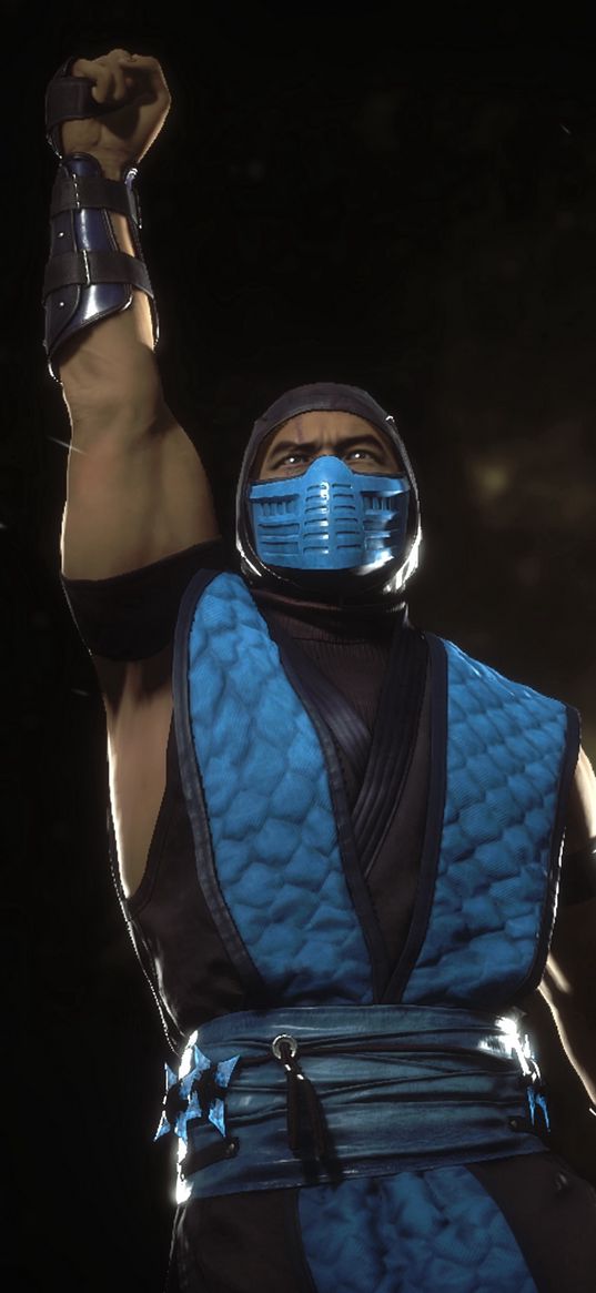 sub-zero, mortal kombat, salute, gesture