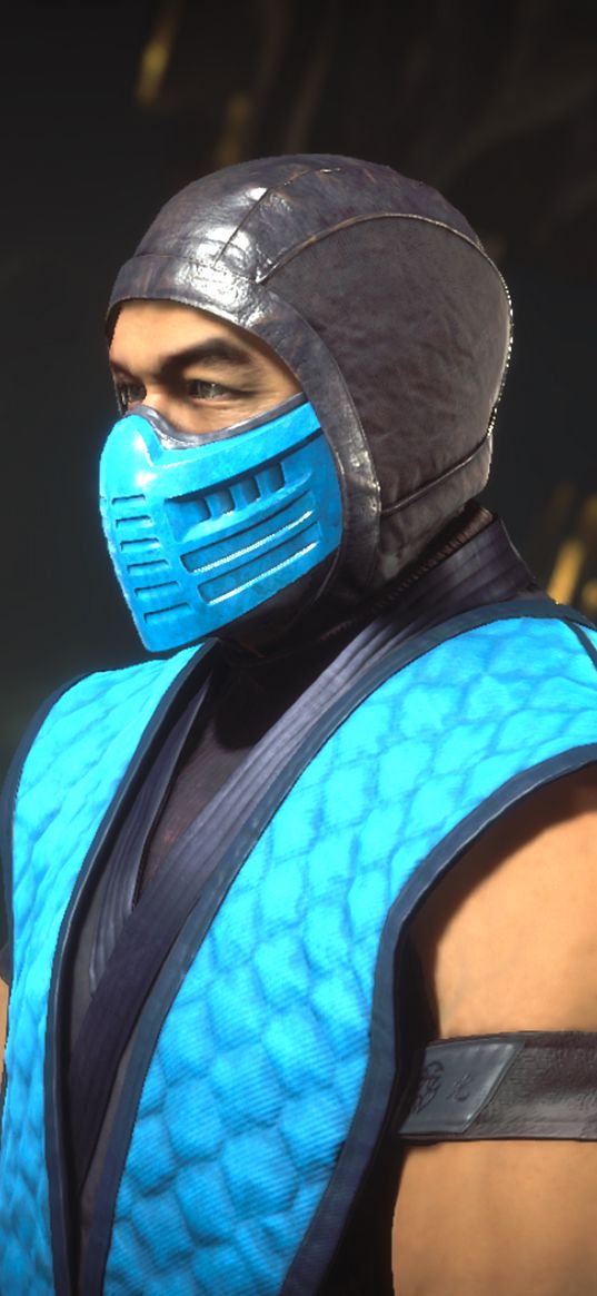 sub-zero, mortal kombat, ninja, mask