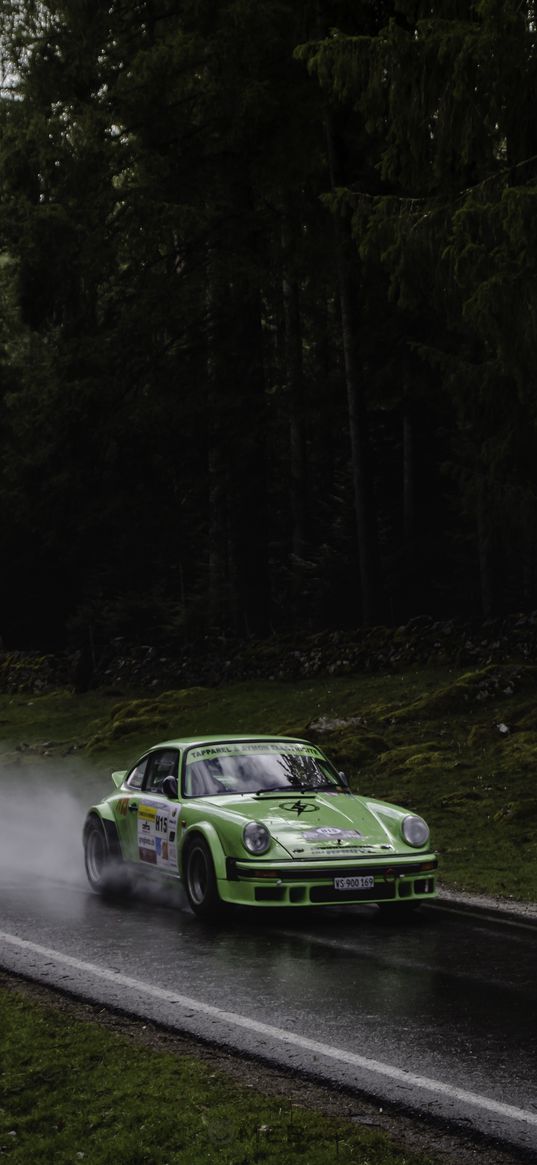 porsche 911, porsche, sports car, car, green, road, race, rally, forest