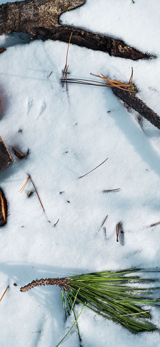 winter, snow, cold, branches