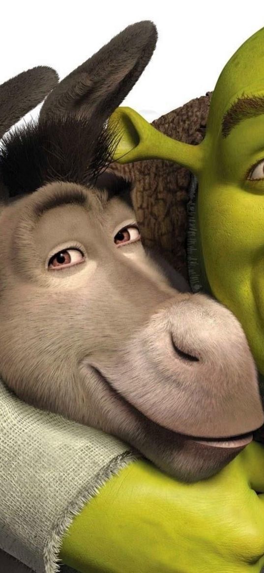 donkey, shrek, cartoon