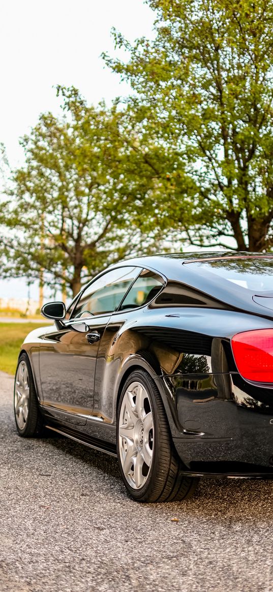 bentley, car, black, road, trees