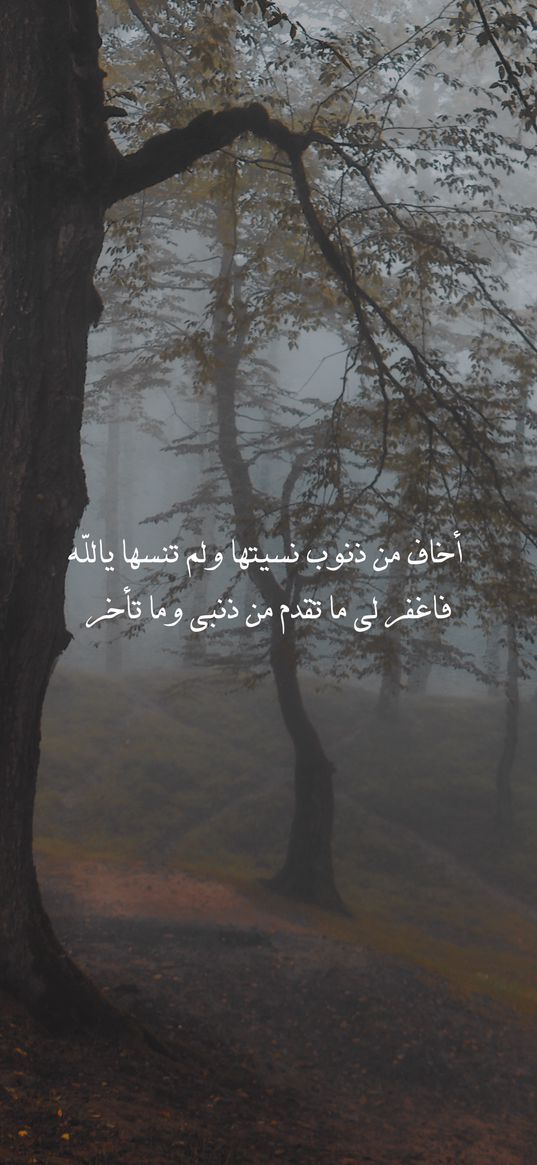 hieroglyphs, text, islam, religion, trees, forest, fog, nature