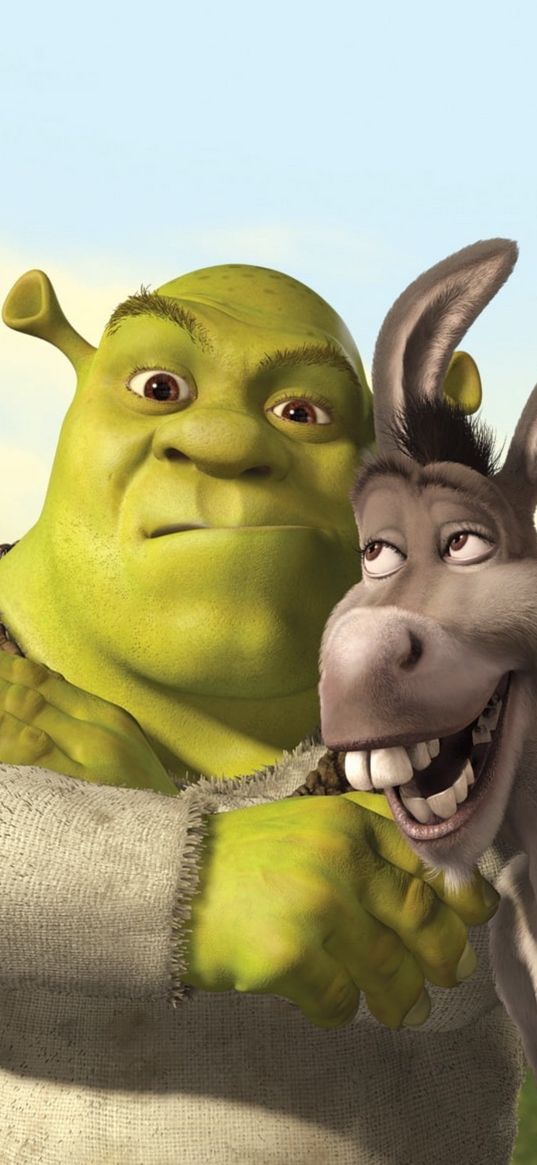 shrek, donkey, cartoon, characters, poster, art