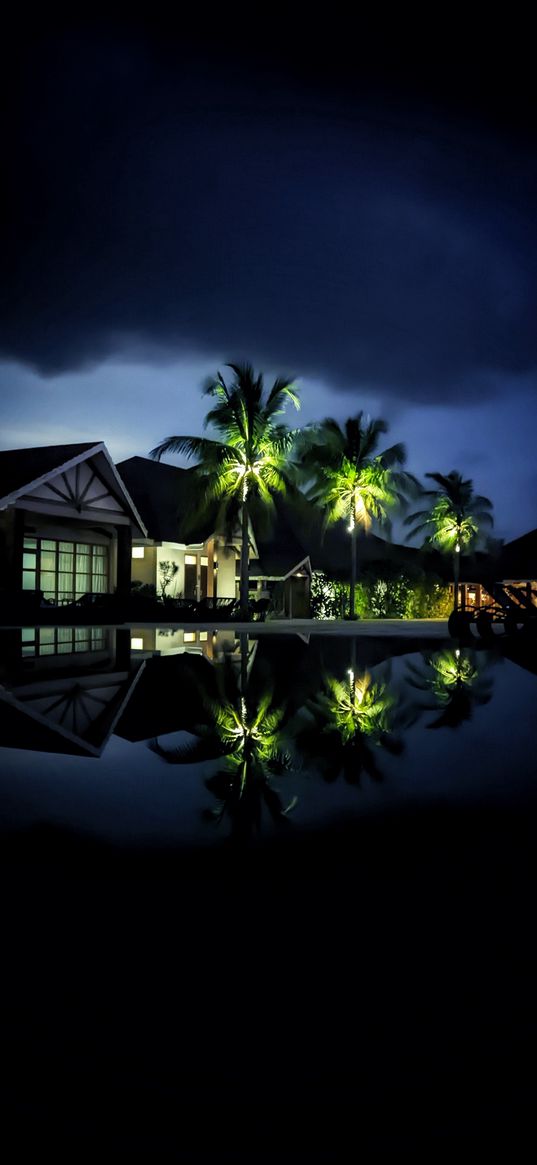 maldives, houses, palm trees, reflection, night, darkness