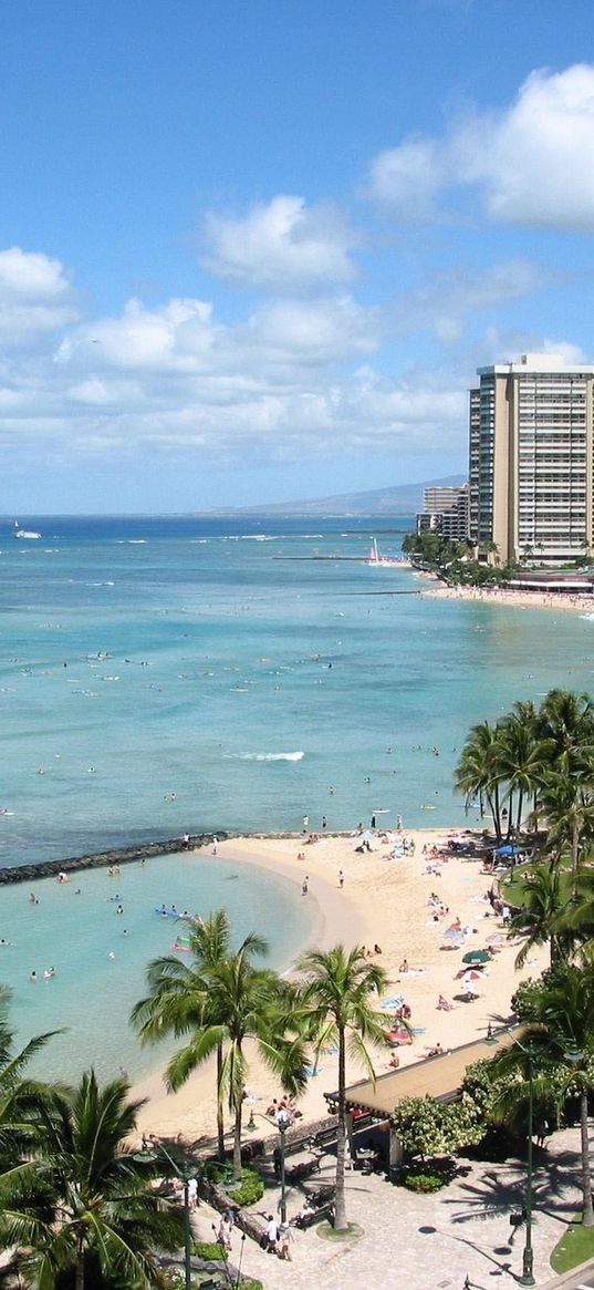 beach, city, sand, palm trees, people, coast, waves