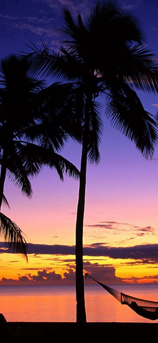 fiji, palm trees, hammock, evening, decline, coast