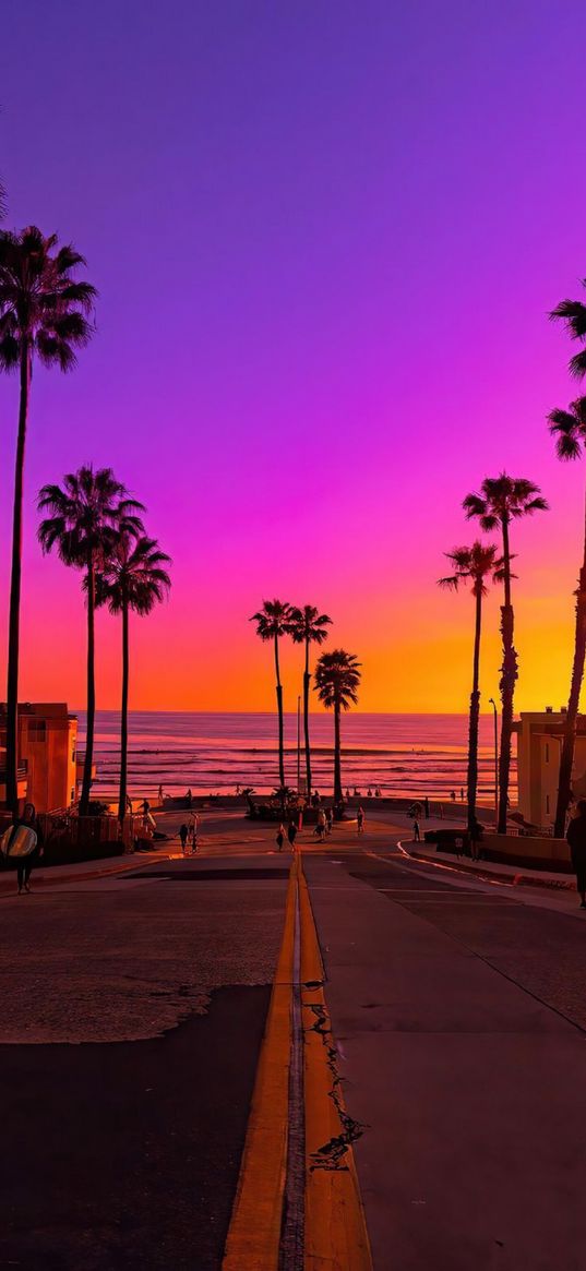 road, street, palm trees, sea, sunset, sky, evening