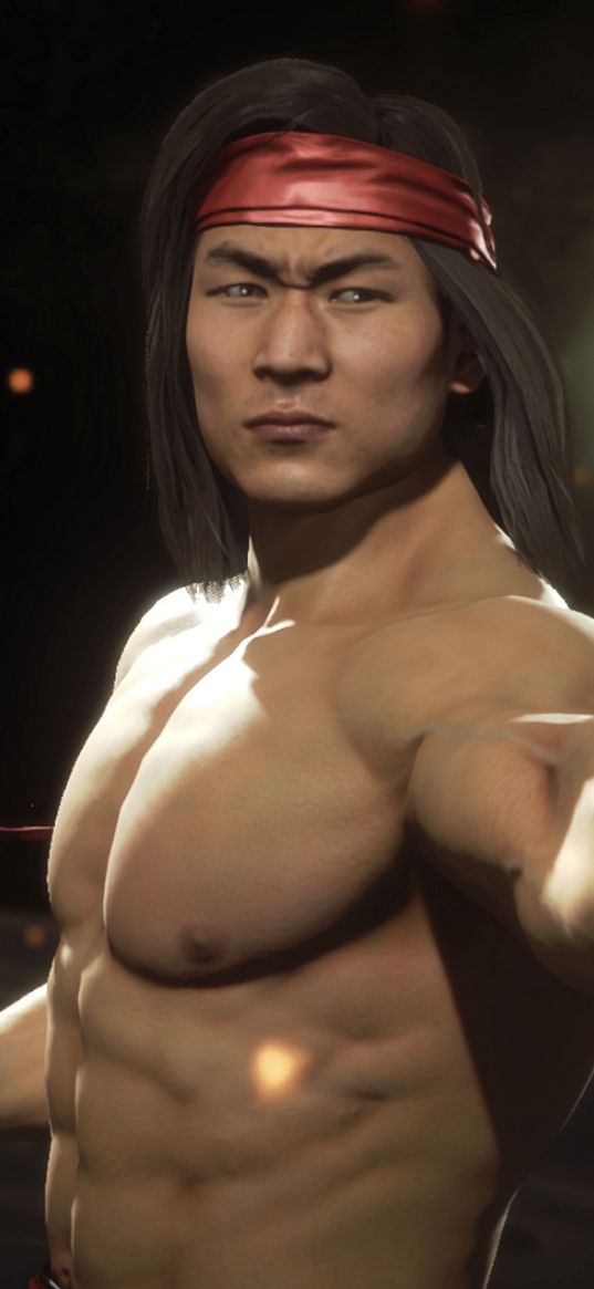 liu kang, mortal kombat, fire, champion