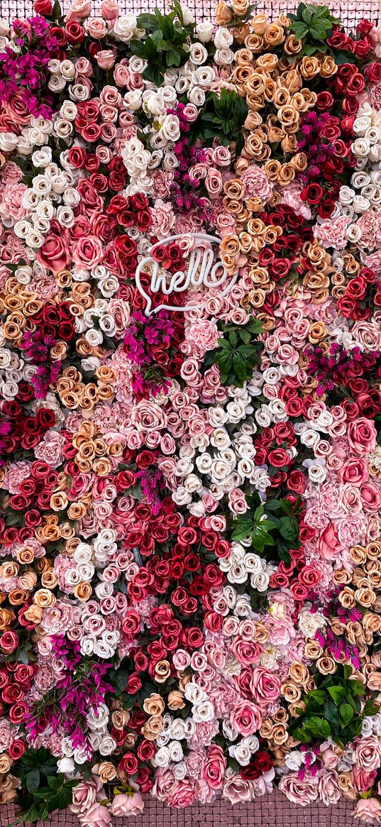 roses, wallpaper, pink, red, white