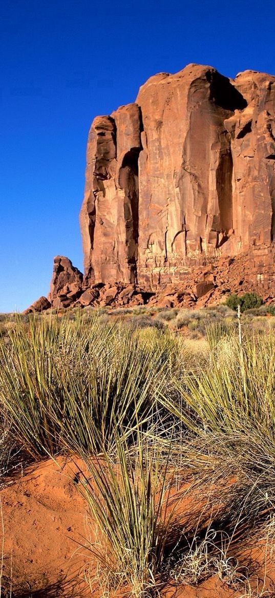 desert, sand, canyon, vegetation, grass