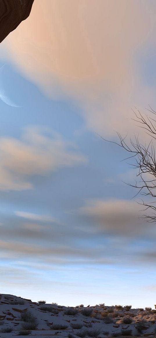 canyon, snow, tree, gorge, sky