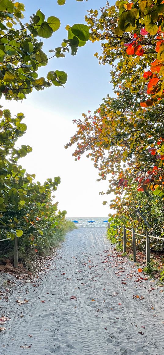 trail, sand, trees, fence, sea