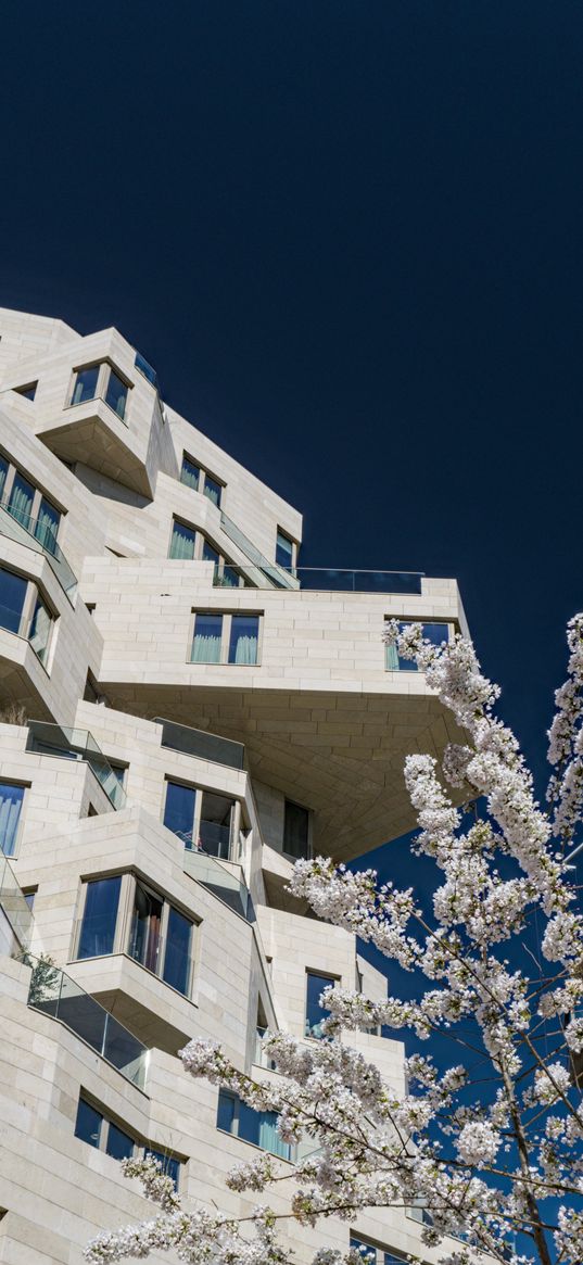 house, windows, facade, architecture, flowers, branches