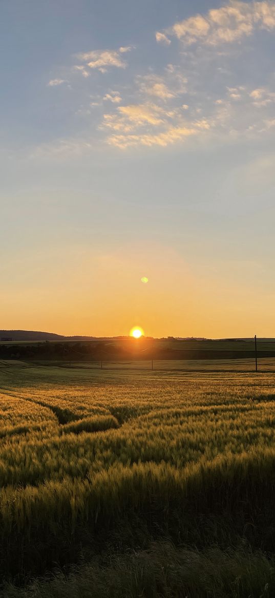 sunset, fields, sunshine, nature, panorama