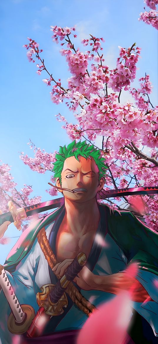 one piece, anime, zoro, character, sakura, tree, petals