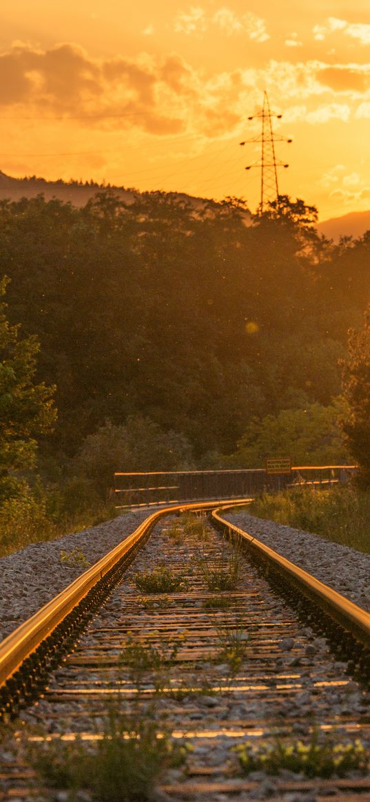 railroad, trees, sunlight, sunset