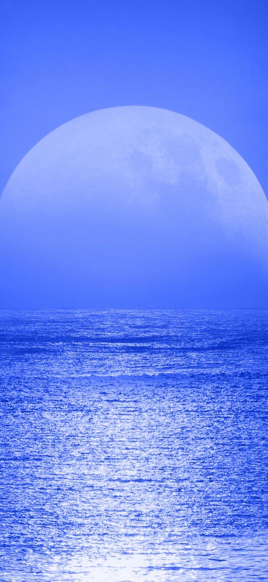 sea, moon, buoy, bird, horizon, night, blue